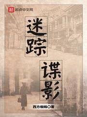 迷踪谍影百度